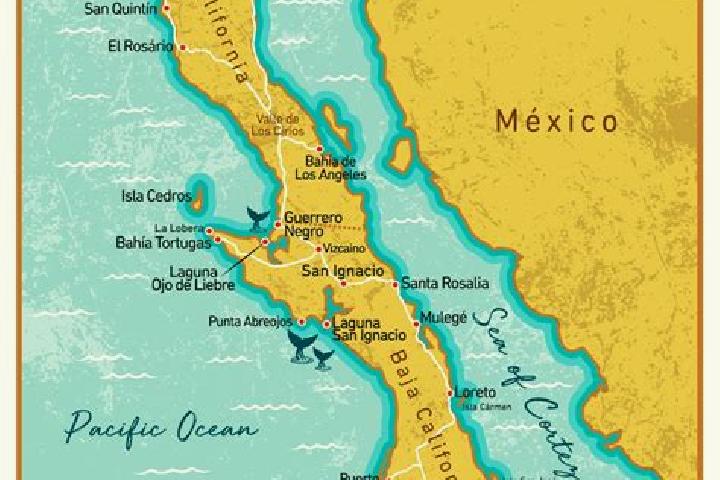 Victoria, 22 — Escort in La Peninsula, Mexico