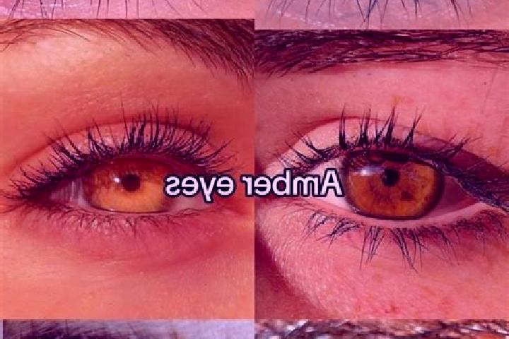 Victoria, 23, a chestnut amber-eyed caucasian companion based in Benteng. Offering Girlfriend Experience, OWO, Erotic Massage, Fetish. Available for incall a...