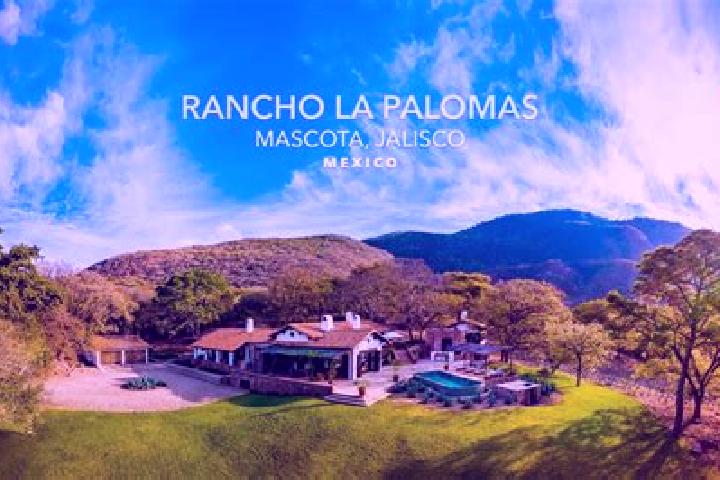 Victoria, 23 — Escort in Amomolulco, Mexico
