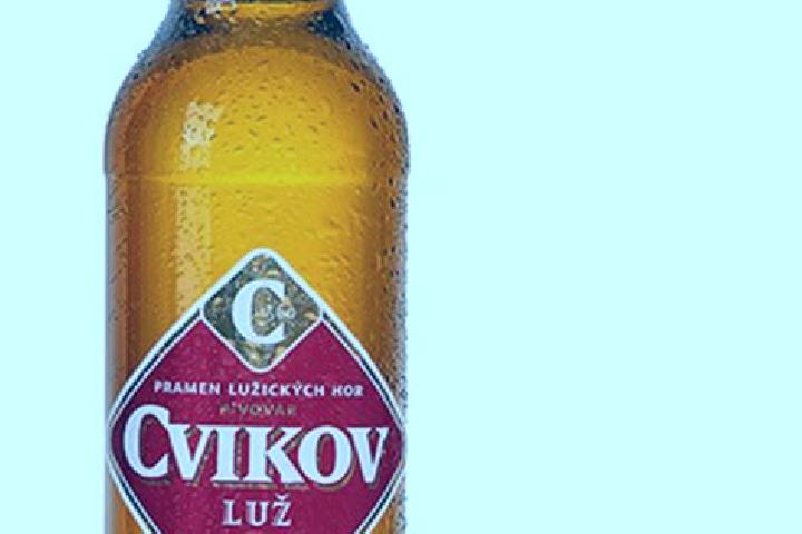 Victoria, 23 — Escort in Cvikov, Czech Republic