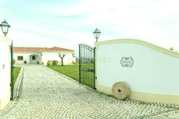 Victoria, 23 — Escort in Moita dos Ferreiros, Portugal