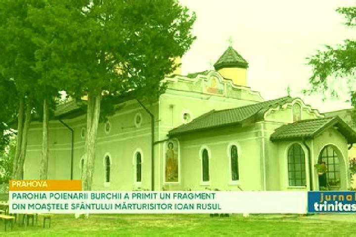 Victoria, 23 — Escort in Poienarii Burchii, Romania