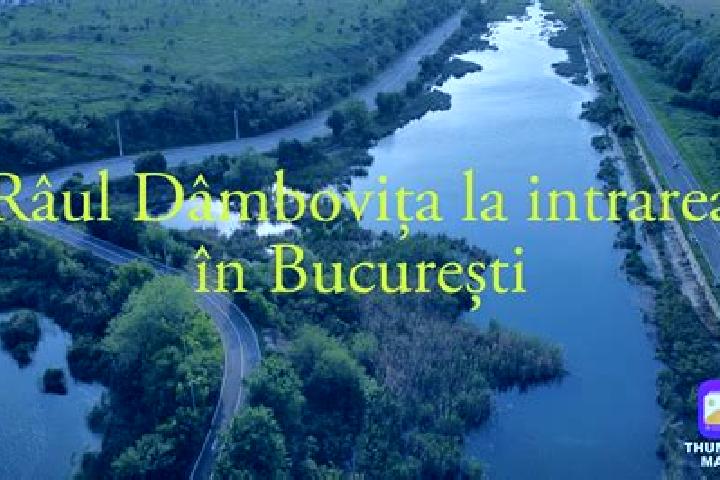 Victoria, 23 — Escort in Rau Alb de Jos, Romania