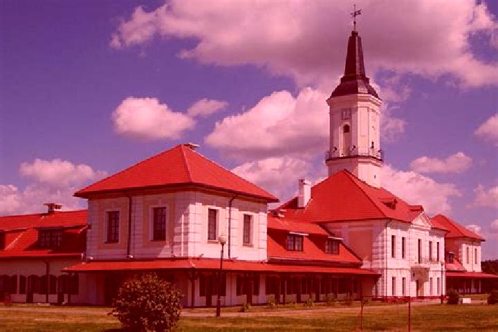 Victoria, 23 — Escort in Shklov, Belarus