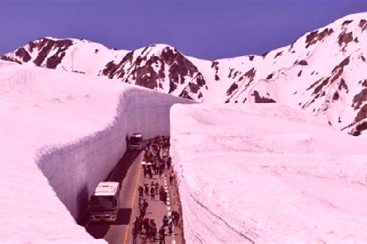 Victoria, 23 — Escort in Tateyama, Japan