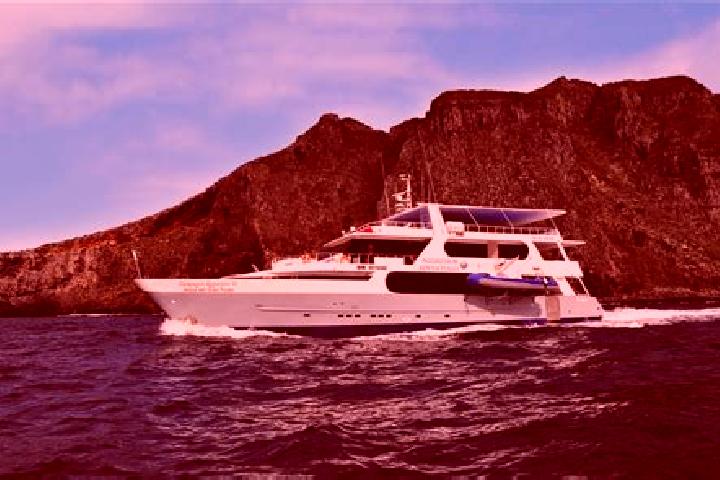 Victoria, 24 — Escort in Galapagos, Spain