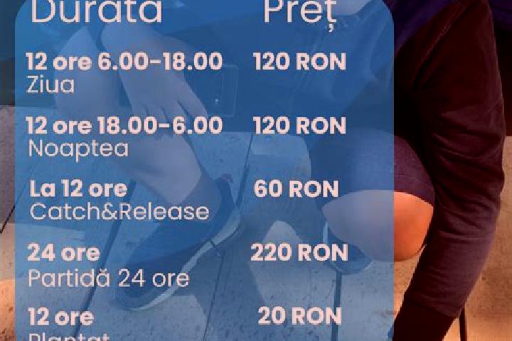 Victoria, 24 — Escort in Piteasca, Romania