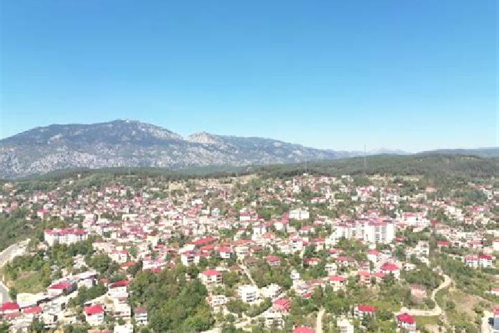 Victoria, 25 — Escort in Duezici, Turkey