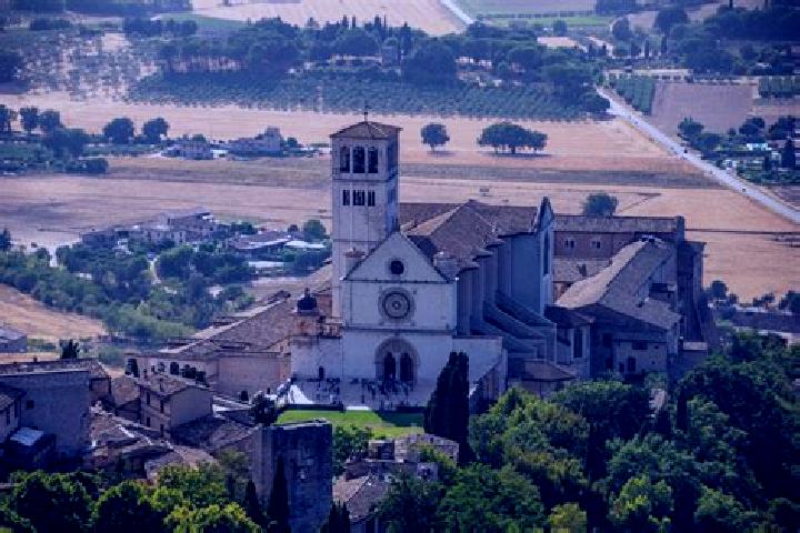 Victoria, 25 — Escort in Fossato Ionico-Fossatello-San Luca Marcelluzzo, Italy