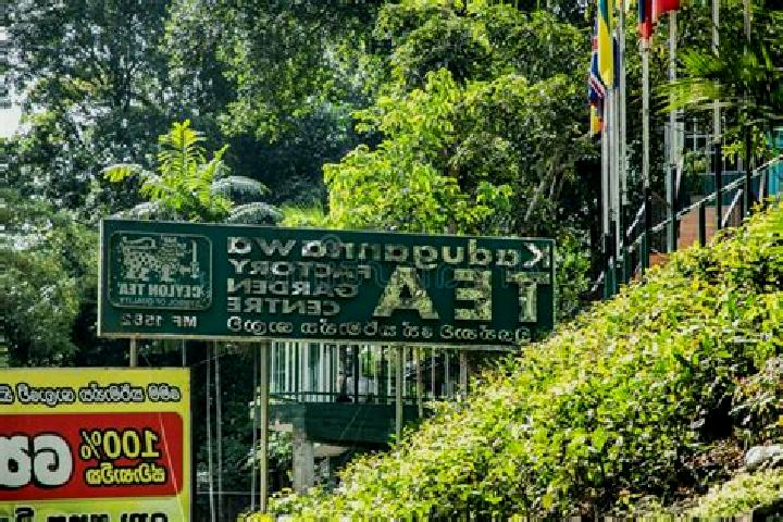 Victoria, 25 — Escort in Kadugannawa, Sri Lanka