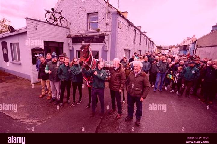 Victoria, 25 — Escort in Leighlinbridge, Ireland