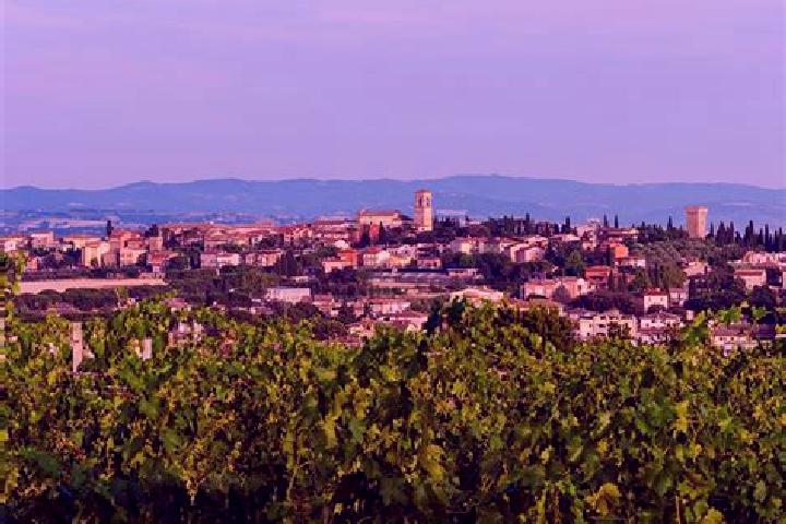 Victoria, 25 — Escort in Torgiano, Italy