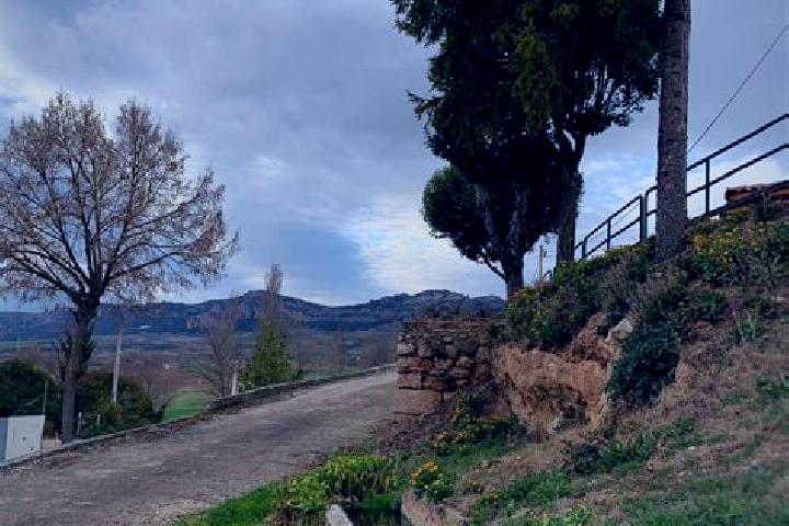 Victoria, 26 — Escort in Pradanos de Bureba, Spain