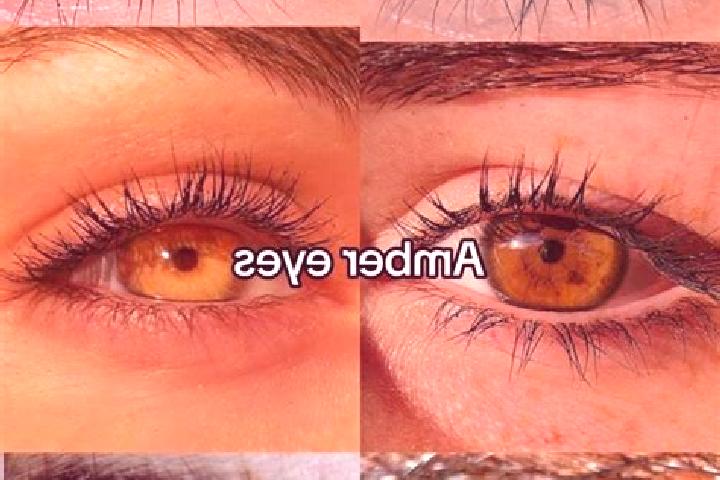 Victoria, 27, a chestnut amber-eyed middle eastern companion based in Itapororoca. Offering Overnight, Domination, OWO. Available for incall and outcall, day...