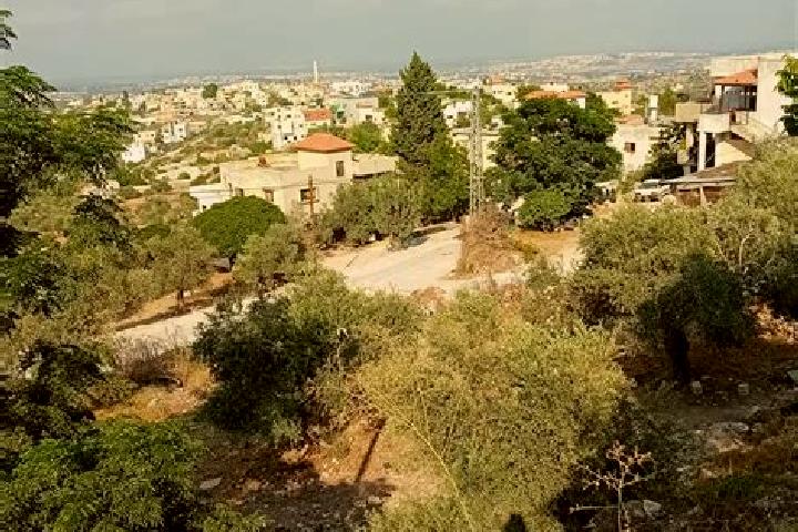Victoria, 27 — Escort in Kafr al Labad, Palestine