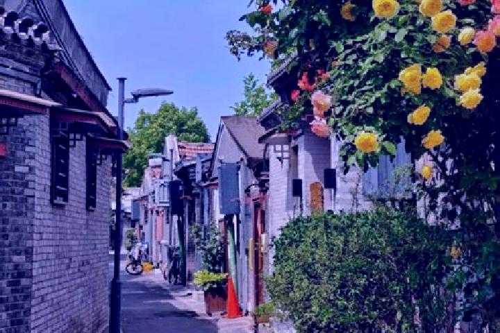 Victoria, 27 — Escort in Nanzhuang, China