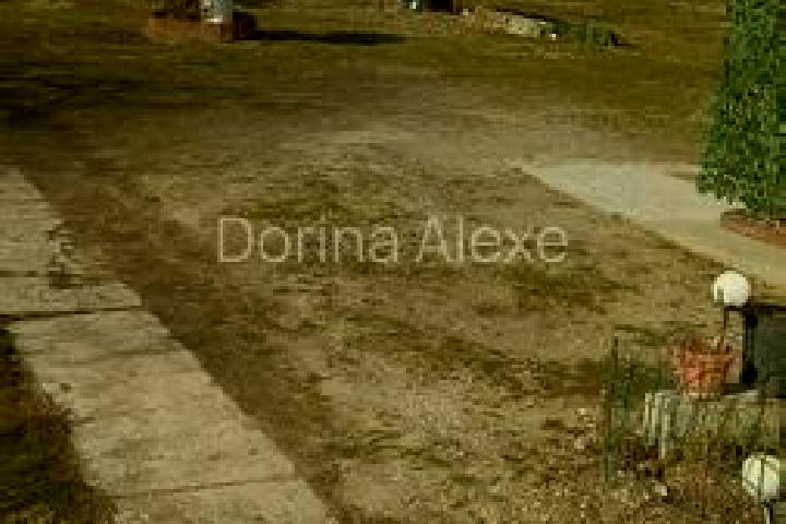 Victoria, 28 — Escort in Neajlovu, Romania