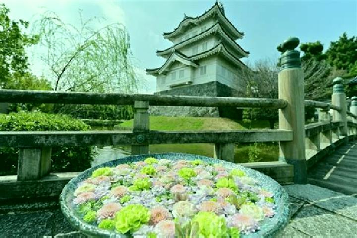 Victoria, 29 — Escort in Gyoda, Japan