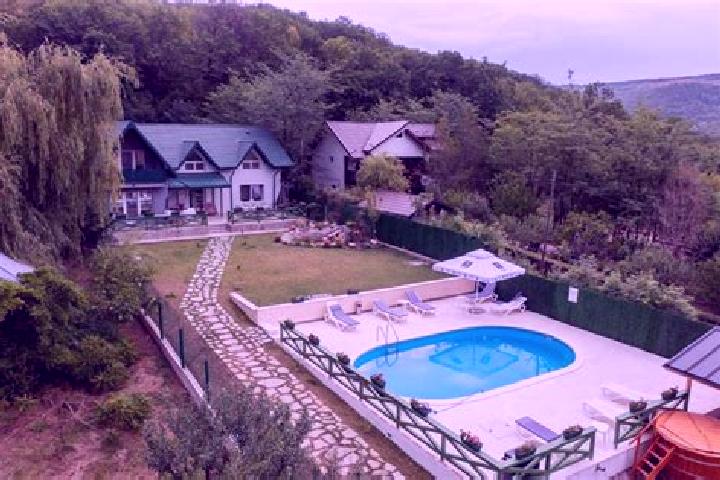 Victoria, 29 — Escort in Merei, Romania