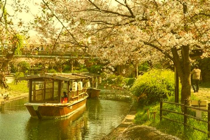 Victoria, 29 — Escort in Takaoka, Japan
