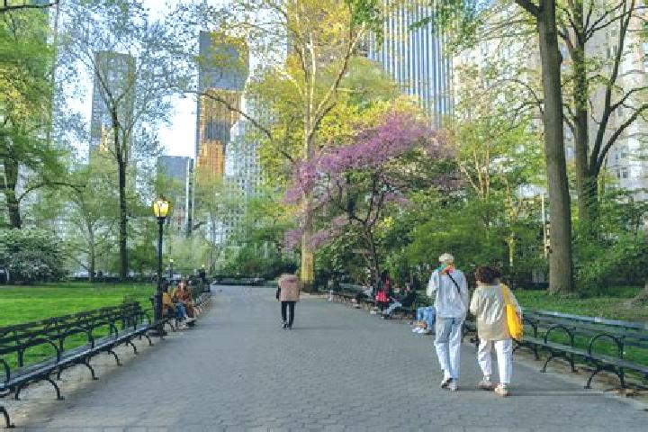 Victoria, 30 — Escort in Central Park Heights, United States