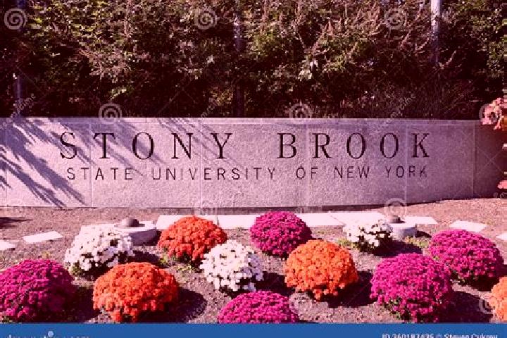 Victoria, 30 — Escort in Stony Brook, United States