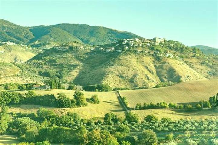 Victoria, 31 — Escort in Monte San Giovanni in Sabina, Italy