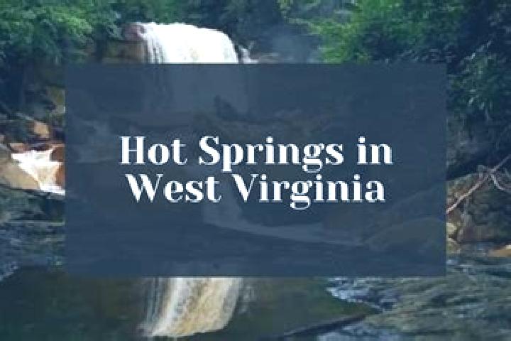 Victoria, 31 — Escort in Sweet Springs, United States