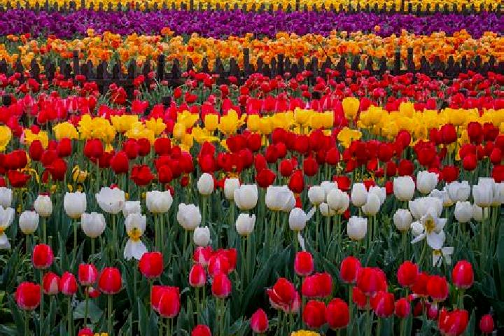 Victoria, 32 — Escort in Dafeng, China