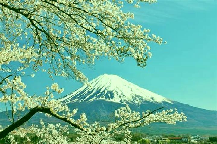 Victoria, 32 — Escort in Koshi, Japan