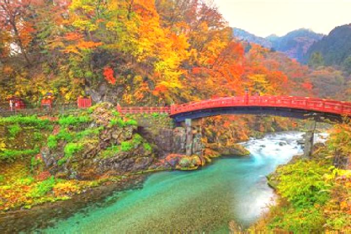 Victoria, 32 — Escort in Nikko, Japan