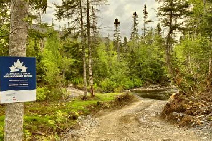 Victoria, 32 — Escort in Trail, Canada