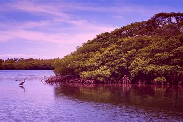 Victoria, 33 — Escort in Lagunas, Honduras