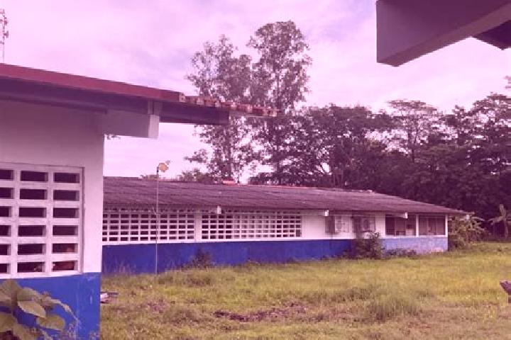 Victoria, 33 — Escort in Las Guabas, Panama