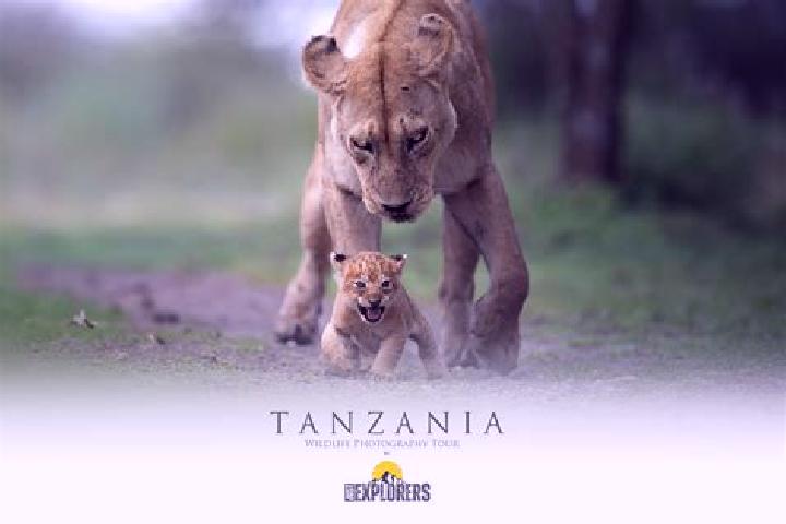 Victoria, 33 — Escort in Luchingu, Tanzania