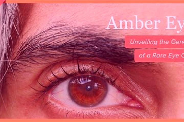 Victoria, 34, a red amber-eyed european companion based in Mabel. Offering Tantra, Couples, 69, Prostate Massage. Available for incall and outcall, overnight...