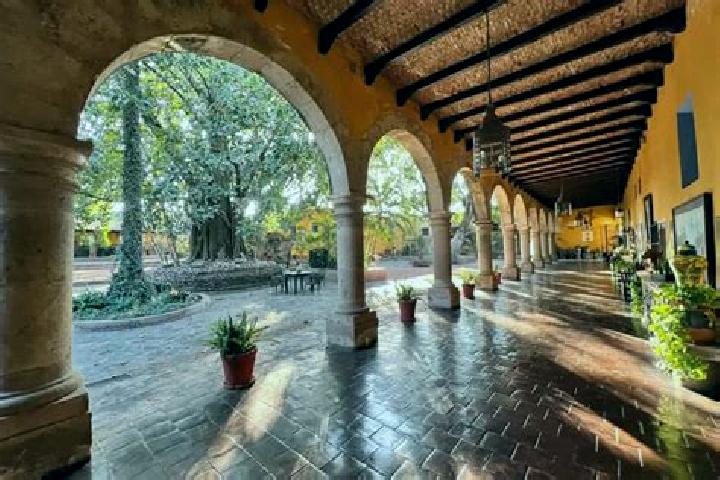 Victoria, 34 — Escort in Acultzingo, Mexico