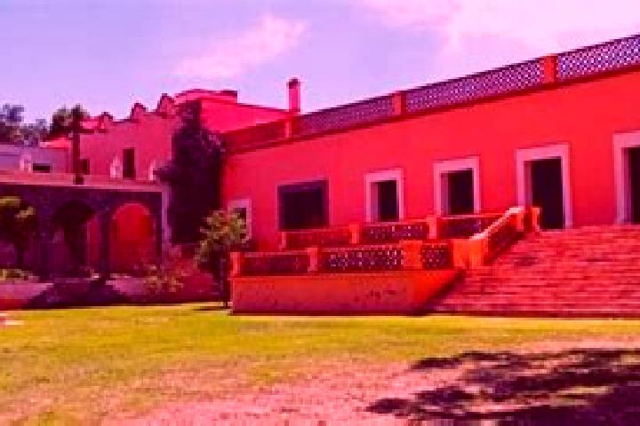 Victoria, 34 — Escort in San Antonio de los Tepetates, Mexico