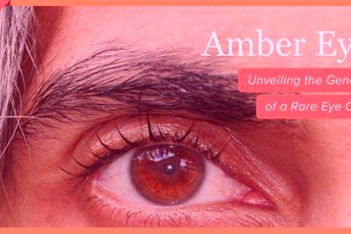 Victoria, 35, a red amber-eyed middle eastern companion based in Debre Sina. Offering OWO, Domination, GFE, Couples, Overnight. Available for incall and outc...