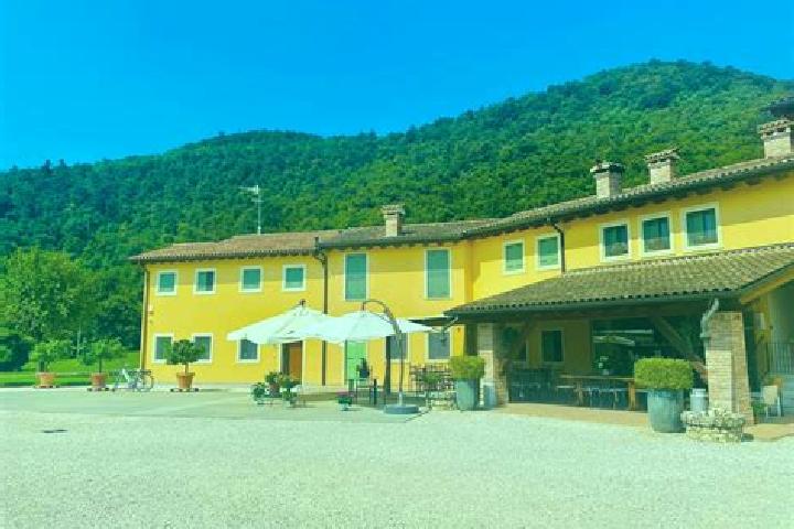Victoria, 35 — Escort in Brogliano, Italy