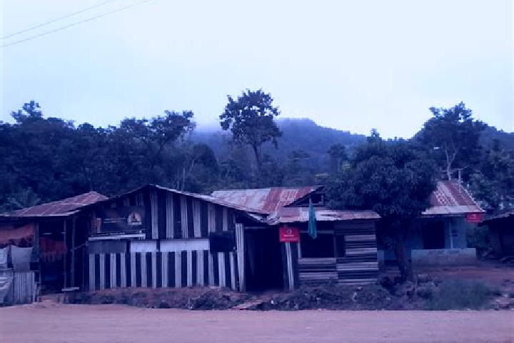 Victoria, 35 — Escort in Usangi, Tanzania