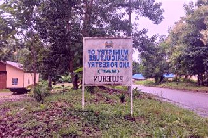 Victoria, 36 — Escort in Pujehun, Sierra Leone