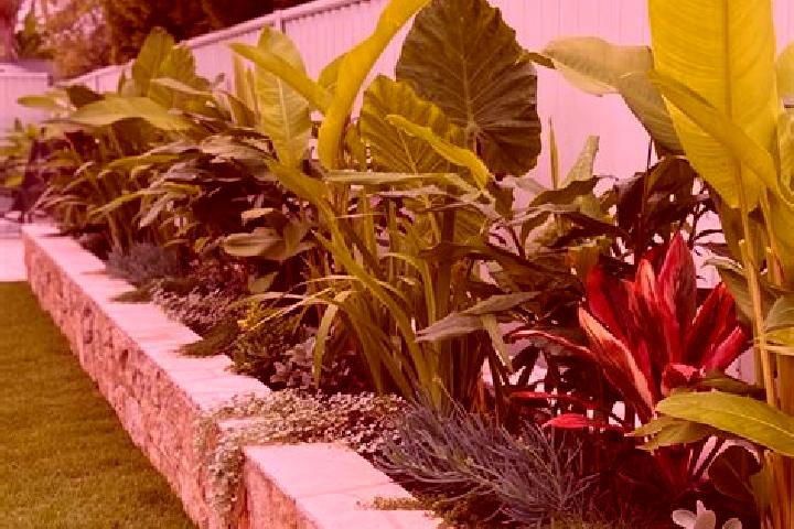 Victoria, 36 — Escort in The Gardens, Australia
