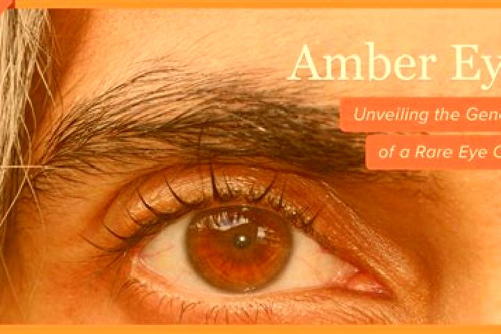 Victoria, 37, a black amber-eyed mixed companion based in Schinveld. Offering Duos, OWO, BDSM, Striptease. Available for incall and outcall, day and evening ...
