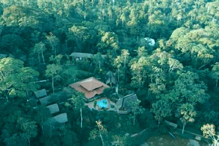 Victoria, 37 — Escort in Aguas Negras, Ecuador