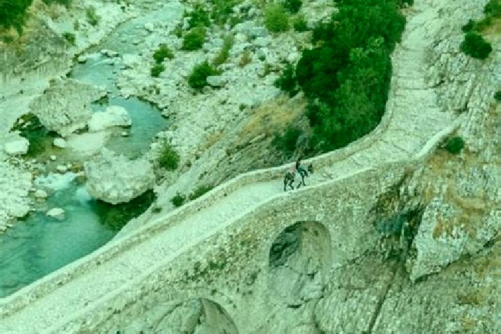 Victoria, 37 — Escort in Brataj, Albania