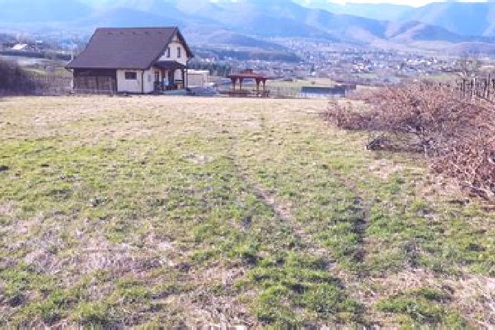 Victoria, 37 — Escort in Cisnadie, Romania
