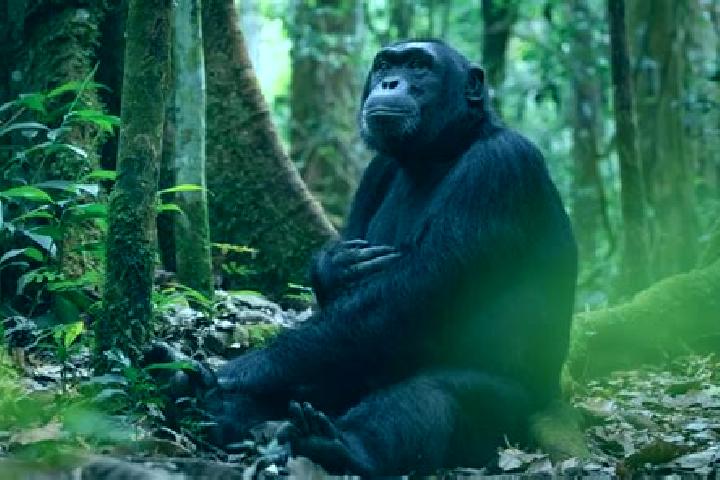 Victoria, 37 — Escort in Kibale, Uganda