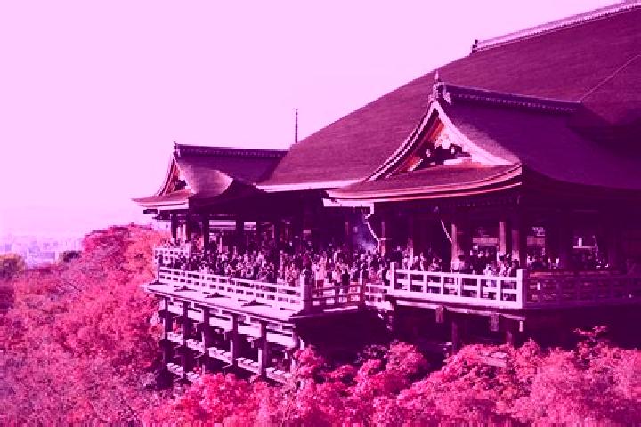 Victoria, 37 — Escort in Otera, Japan