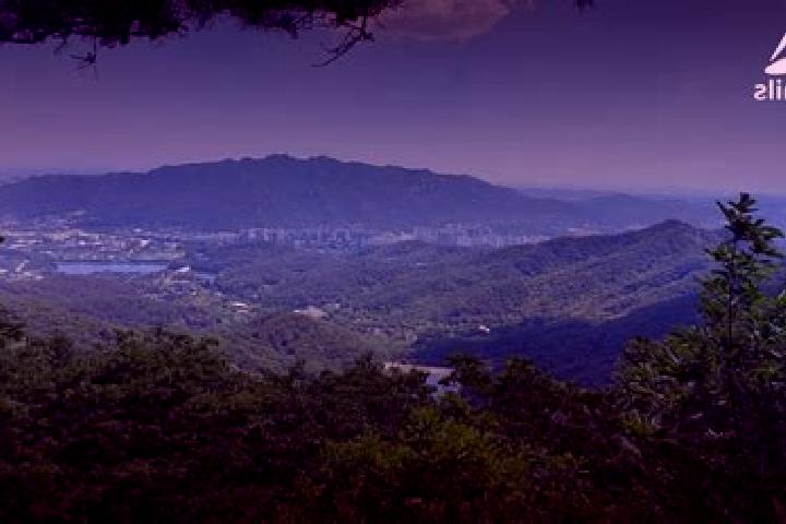 Victoria, 37 — Escort in Uiwang, South Korea